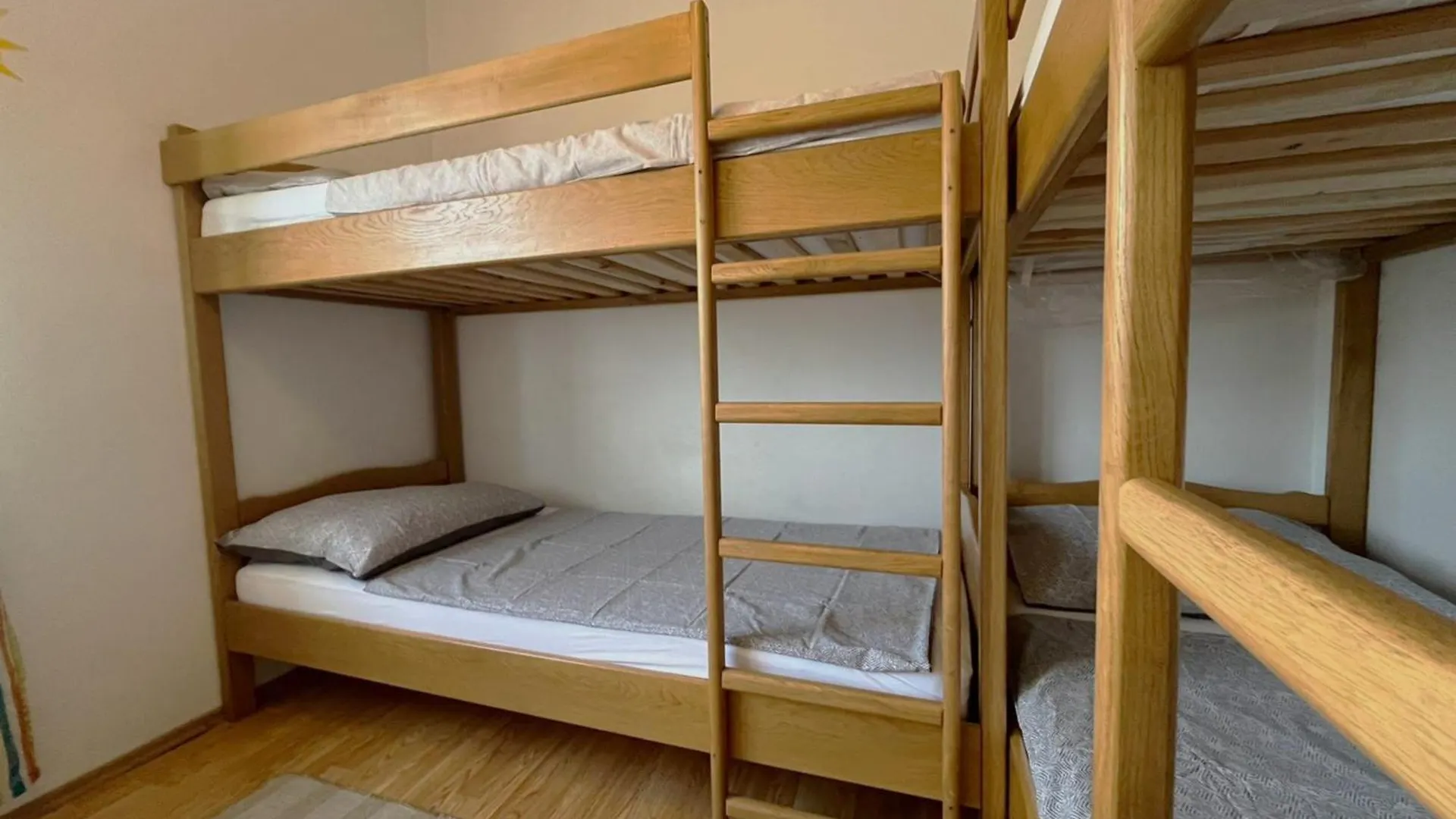 Apartment 77 With Pool And Beach 斯塔利格拉德-帕克利尼卡 克罗地亚